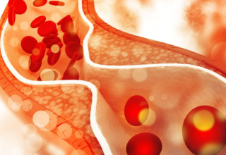 Read more about the article The Strange Case of Cholesterol Synthesis During the Evolution of Animals