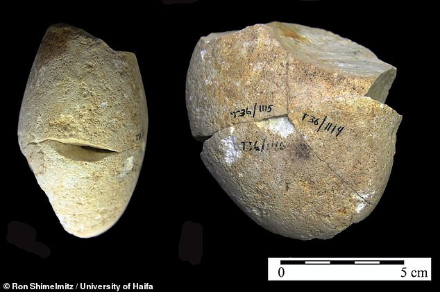 Read more about the article UofH archaeologists identify oldest recorded grinding tool pre-dating modern humans