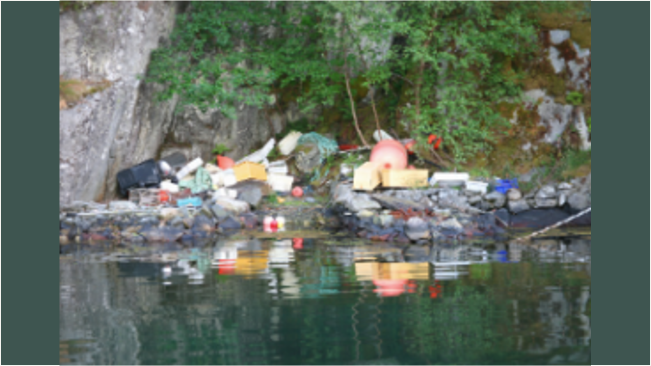 Read more about the article 45% of Israelis admit to littering in the past year according to UofH study