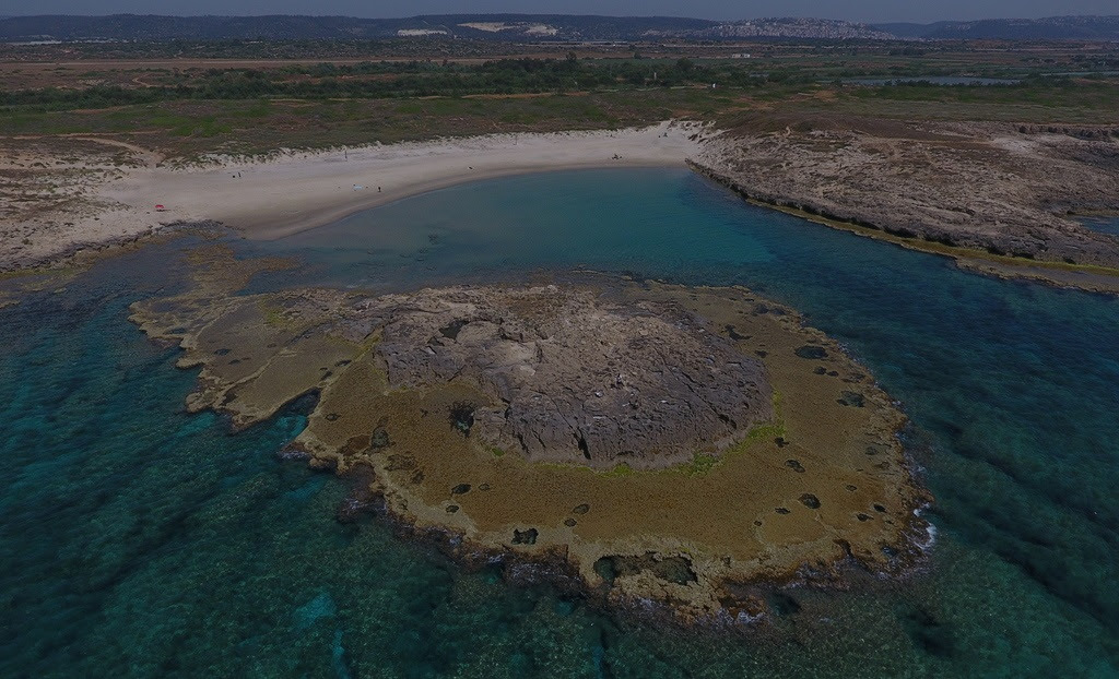 Read more about the article Rising sea levels threaten coastal biodiversity of rare rocky reefs on Israel’s coast